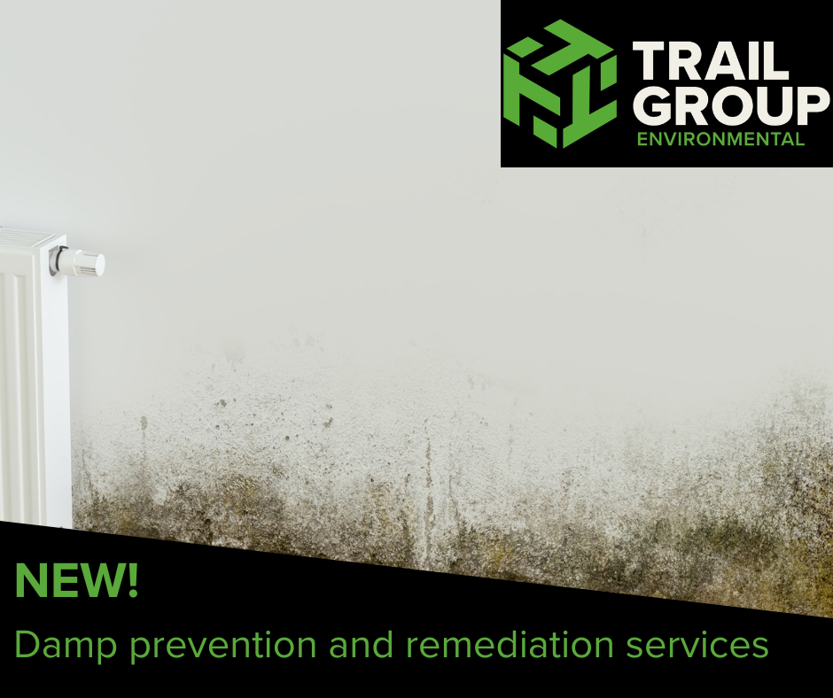 Trail Group launches new service for property managers to address damp and mould in social housing